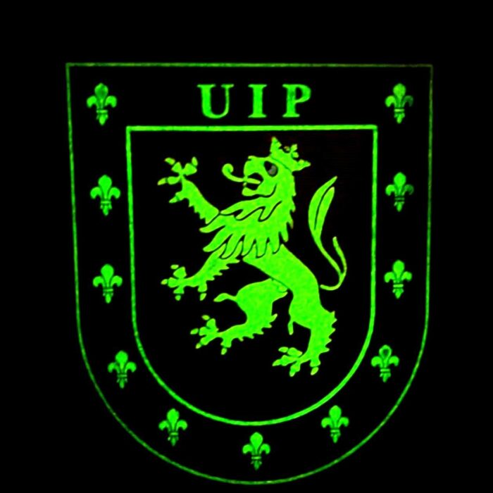 parche_policia_nacional_uip_luminiscente_unidades_intervencion_policial_espana_pvc_luz