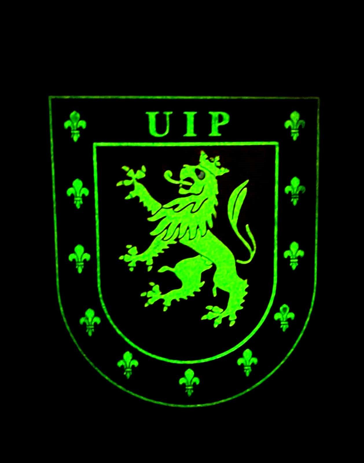 parche_policia_nacional_uip_luminiscente_unidades_intervencion_policial_espana_pvc_luz