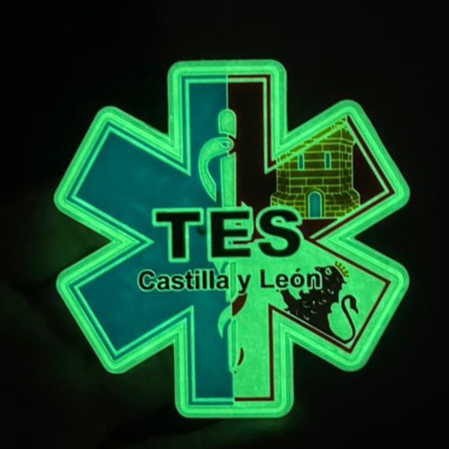 parche_técnico_emergencias_sanitarias_castilla_y_leon_tes_sanidad_españa