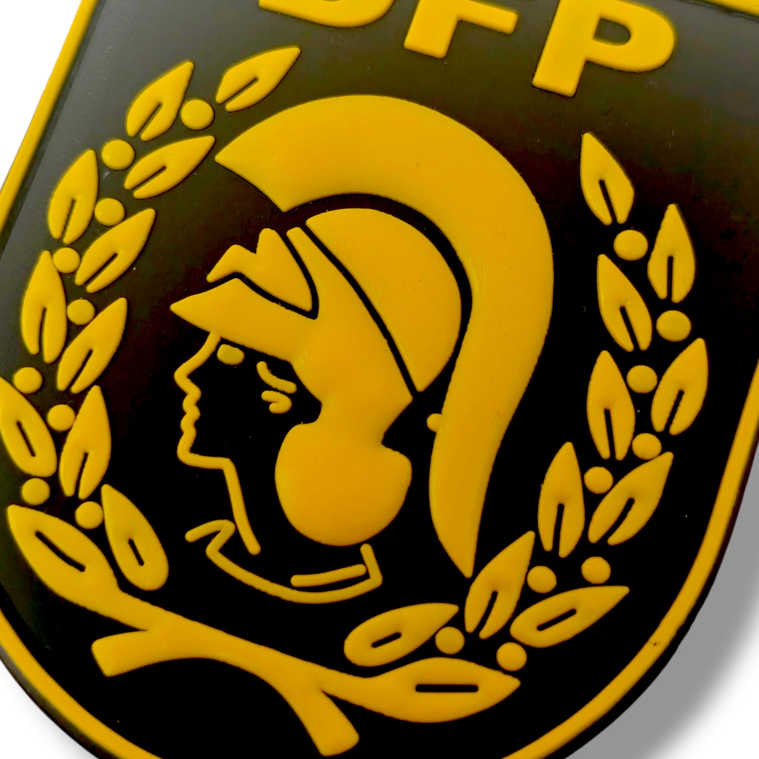 parche_División_de_Formación_y_Perfeccionamiento_DFP_de_la_Policía_Nacional
